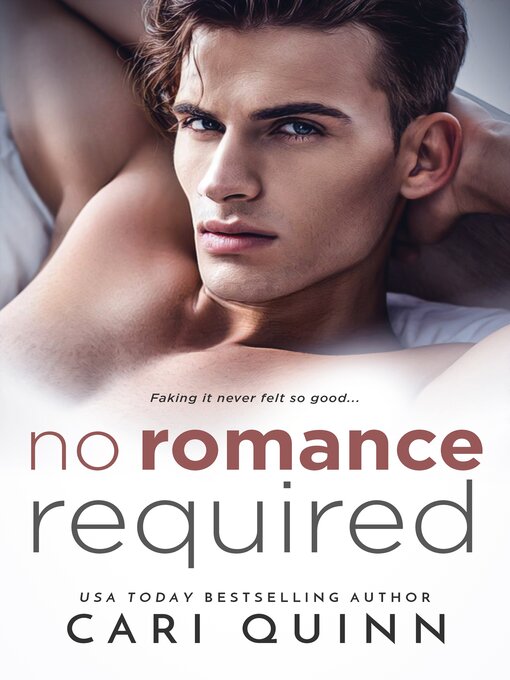 Title details for No Romance Required by Cari Quinn - Wait list